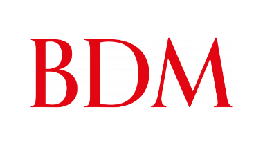 BDM Logistics Logo